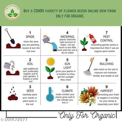 Mixed flower seeds