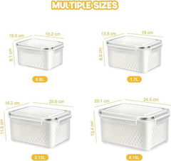 Fridge storage containers Pack of 2